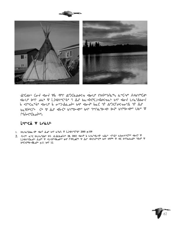11362 CNC Annual Report 2002 CREE - page 67